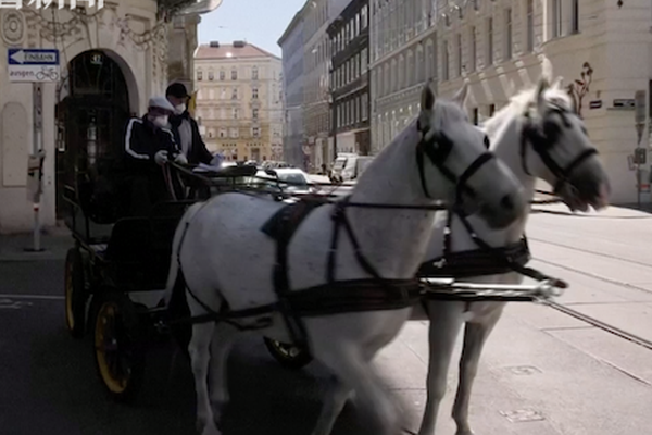 因扎吉自传-乐鱼体育(LEYU)中国官网-app登录入口