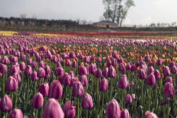 世界杯阿根廷vs荷兰-乐鱼app(leyu)官方网站-乐鱼官网