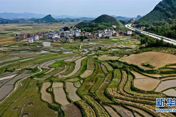 2010欧冠-乐鱼app(leyu)官方网站-乐鱼官网