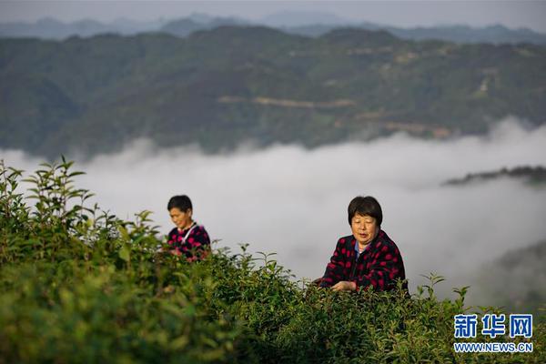 世界杯预选赛直播-乐鱼app(leyu)官方网站-乐鱼官网