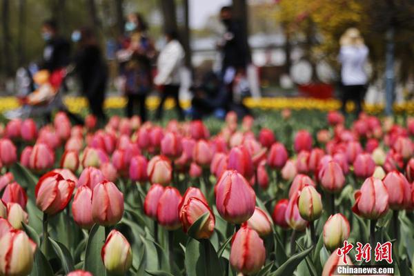 拜仁慕尼黑壁纸-爱游戏app（中国）官方网站下载_ayx体育app下载