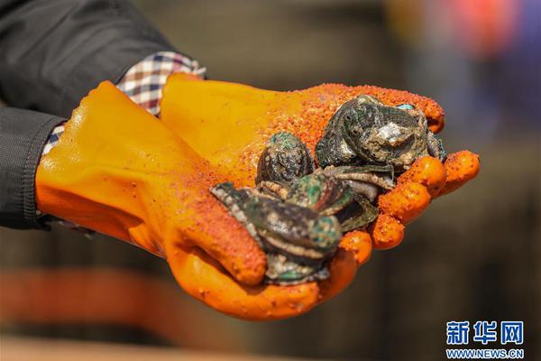 湖人vs太阳-乐鱼app(leyu)官方网站-乐鱼官网