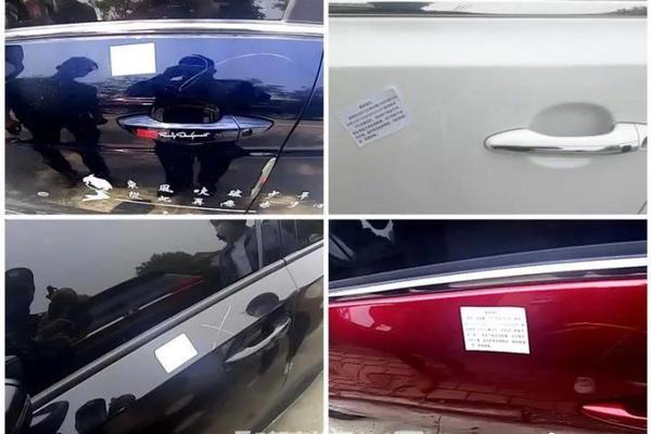 法布雷加斯转会