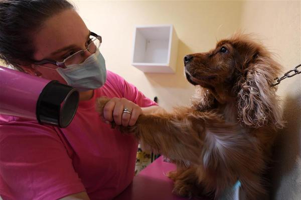 萨默尔-乐鱼app(leyu)官方网站-乐鱼官网