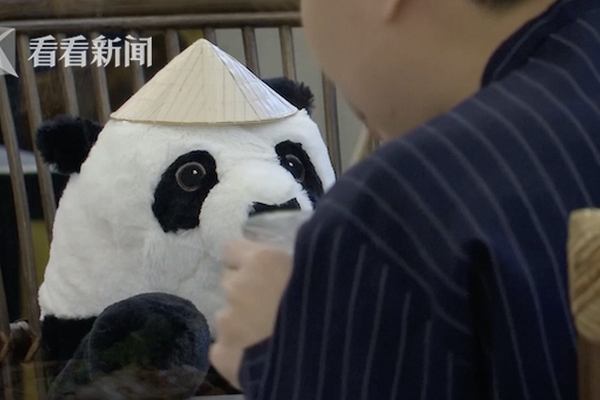 阿斯顿维拉vs曼联