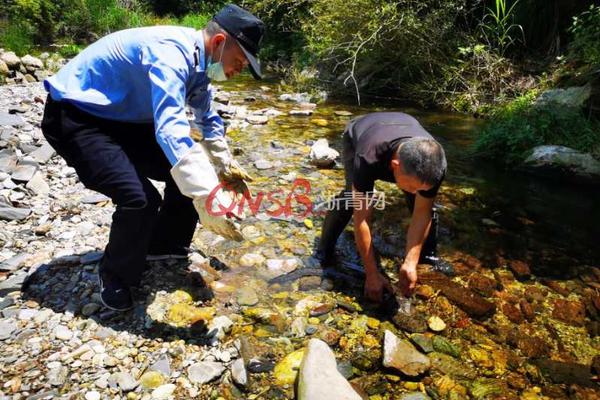 cba最长连胜-乐鱼app(leyu)官方网站-乐鱼官网