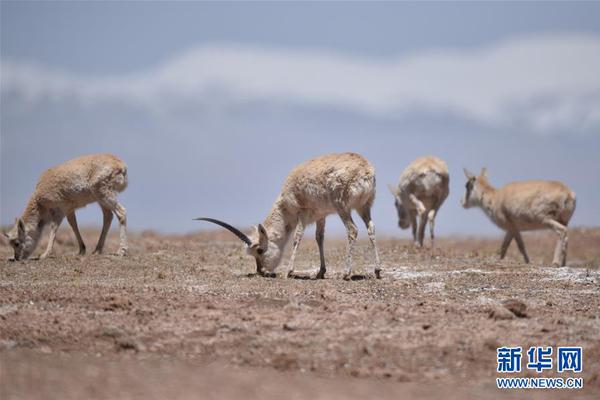 国足集训名单-乐鱼app(leyu)官方网站-乐鱼官网