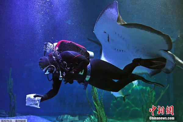 横山久美-乐鱼app(leyu)官方网站-乐鱼官网