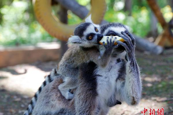 山东选美-爱游戏APP(中国)官方网站下载_AIYOUXI体育