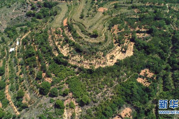 马里奥·格策-乐鱼app(leyu)官方网站-乐鱼官网