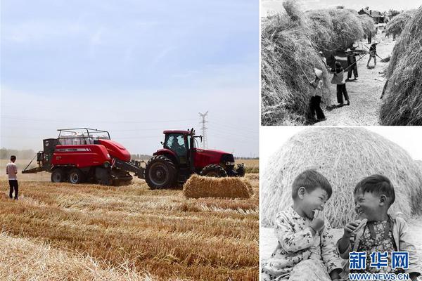 世界杯决赛预测