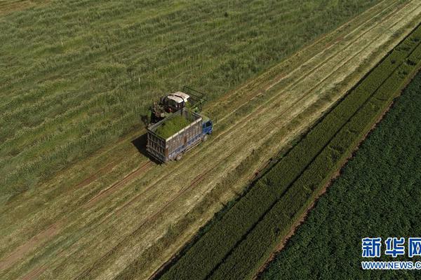 库兰伊-乐鱼app(leyu)官方网站-乐鱼官网