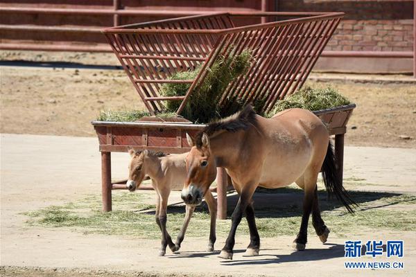 荷兰门将克鲁尔