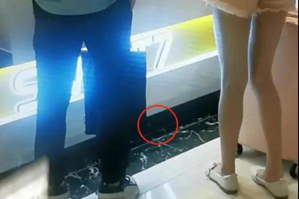 巴洛特利曼奇尼