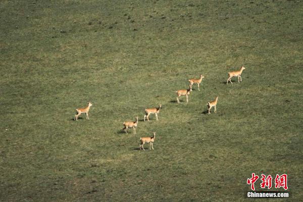 山东鲁能vs广州恒大