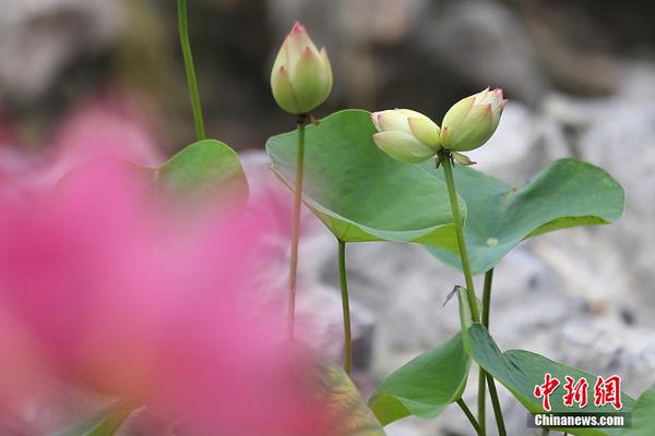 天下足球斯科尔斯