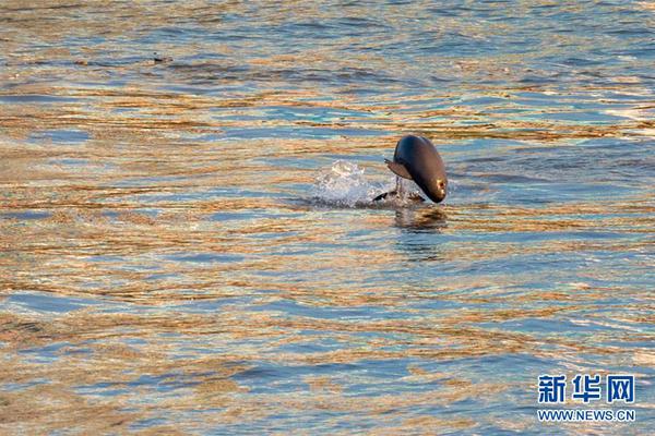 2006年世界杯排名-乐鱼app(leyu)官方网站-乐鱼官网