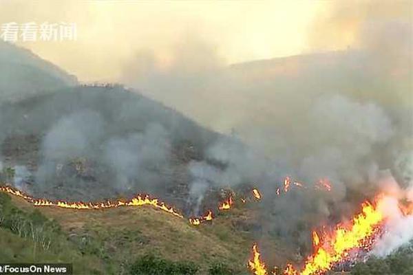 体育场馆设计-乐鱼app(leyu)官方网站-乐鱼官网