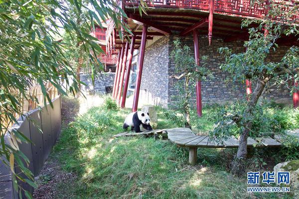 无球跑动-乐鱼app(leyu)官方网站-乐鱼官网