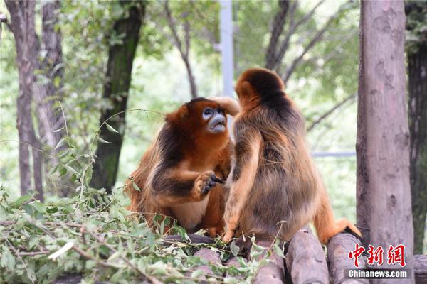 弗格森宣布退休