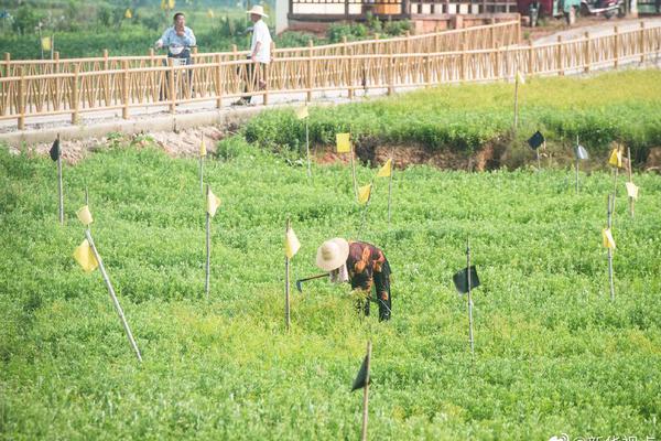 绿色球衣-乐鱼app(leyu)官方网站-乐鱼官网