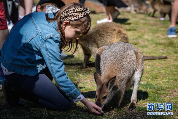 斯塔贝克vs布兰-乐鱼APP下载-乐鱼体育app-乐鱼体育官网网站|乐鱼体育