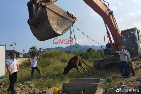 阿森纳 那不勒斯