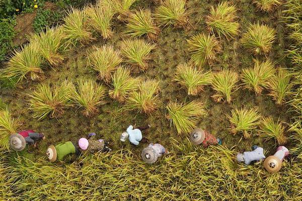 中式台球世锦赛-乐鱼app(leyu)官方网站-乐鱼官网