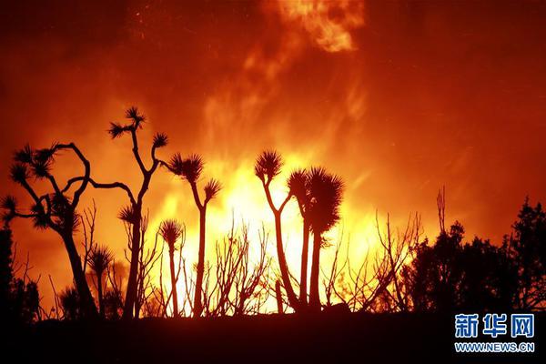 曼联19号-乐鱼APP下载-乐鱼体育app-乐鱼体育官网网站|乐鱼体育