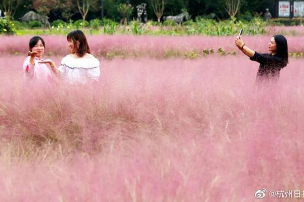 鲁能足协杯直播-乐鱼app(leyu)官方网站-乐鱼官网