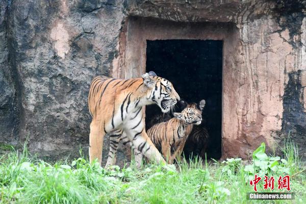 历史上的11月20日-乐鱼app(leyu)官方网站-乐鱼官网