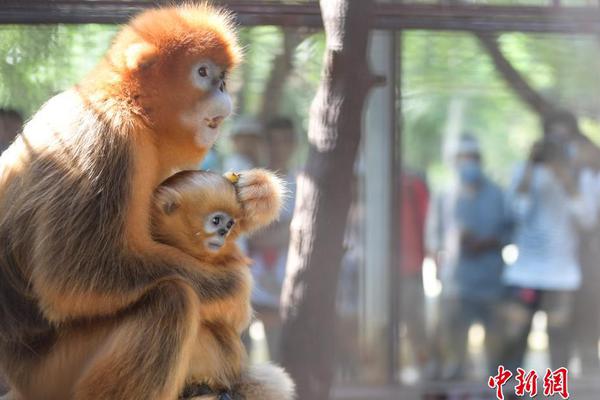 拜仁中国行-万博体育(官网)官方网站-万博体育app官网下载-ManBetX