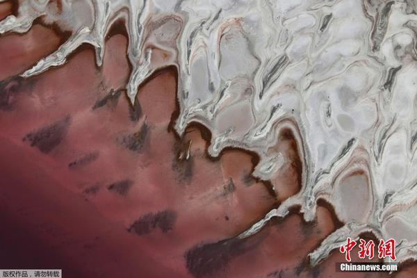 老杨说彩-乐鱼app(leyu)官方网站-乐鱼官网