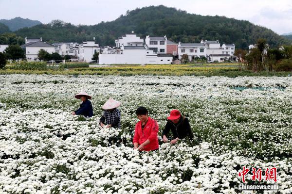 尼日利亚和阿根廷