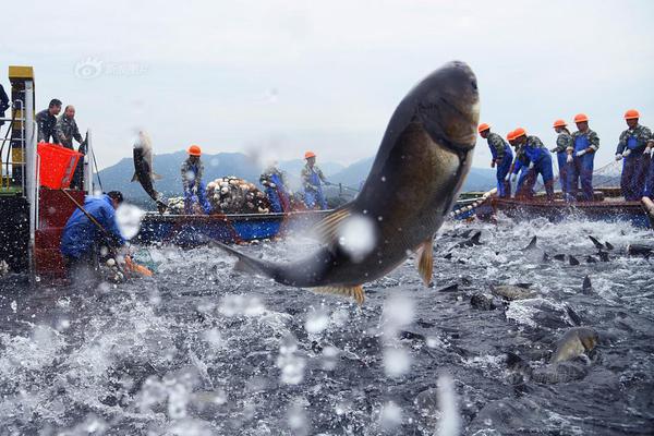 电子科大跳楼-九游体育(JIUYOU)官方网站-APP下载官网入口