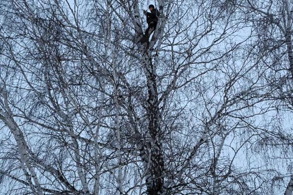 雷霆vs湖人录像-乐鱼app(leyu)官方网站-乐鱼官网