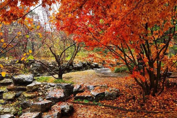 nba火箭视频直播吧-乐鱼app(leyu)官方网站-乐鱼官网