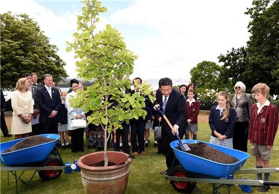 图为2014年11月18日，习近平在澳大利亚塔斯马尼亚州与小学生共同植树。（饶爱民摄）