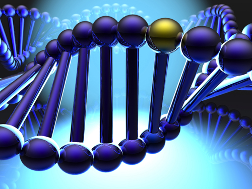 资料图：基因双螺旋结构CG模型图。（图片源于网络）