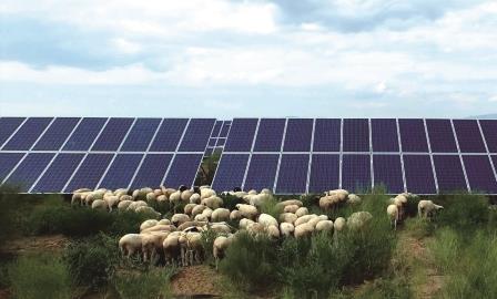 布其实践:绿水青山就是金山银山|资源|就业|政