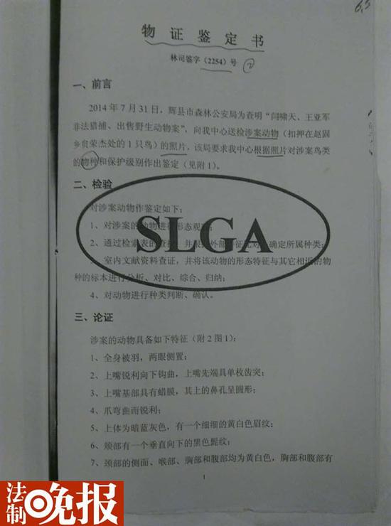 （对闫啸天掏的鸟经鉴定为燕隼、国家二级保护动物）