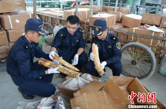 图为夹藏在货物中的象牙　覃武林　摄