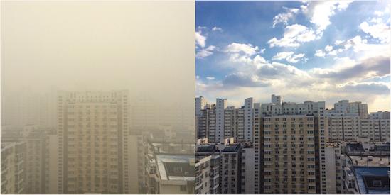 北京市丰台区一所小区，2015年12月1日（左），2015年12月2日（右），中间隔了一夜风。摄影：刘诗蕾
