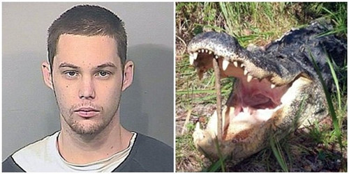 美国一名男子里金斯为躲藏警方追捕，躲进湖边惨遭鳄鱼咬死。