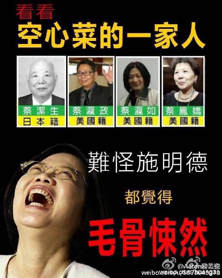 蔡英文家一半是外国人