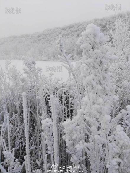 北京顺义雪后现“雾凇”美景