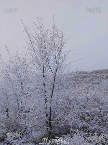 北京顺义雪后现“雾凇”美景
