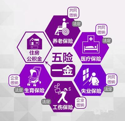 降企业社保缴费负担莫止于精简险种|减负|社保