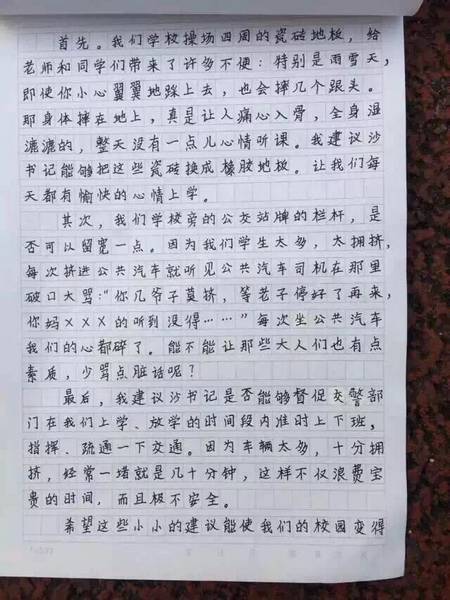 利川第一民族实验小学学生赵桐给市委书记写信：让大人少骂点脏话