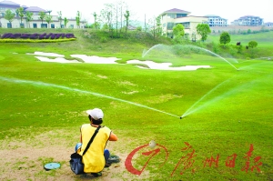 广东某高尔夫球场，一名工作人员无所事事蹲在草地上。